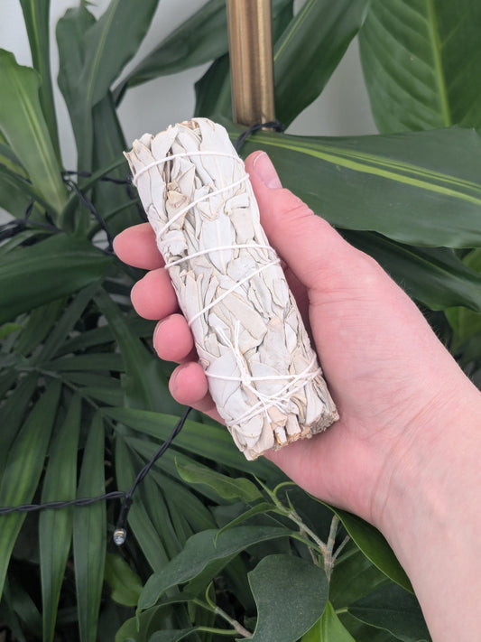 Bâton de sauge blanche