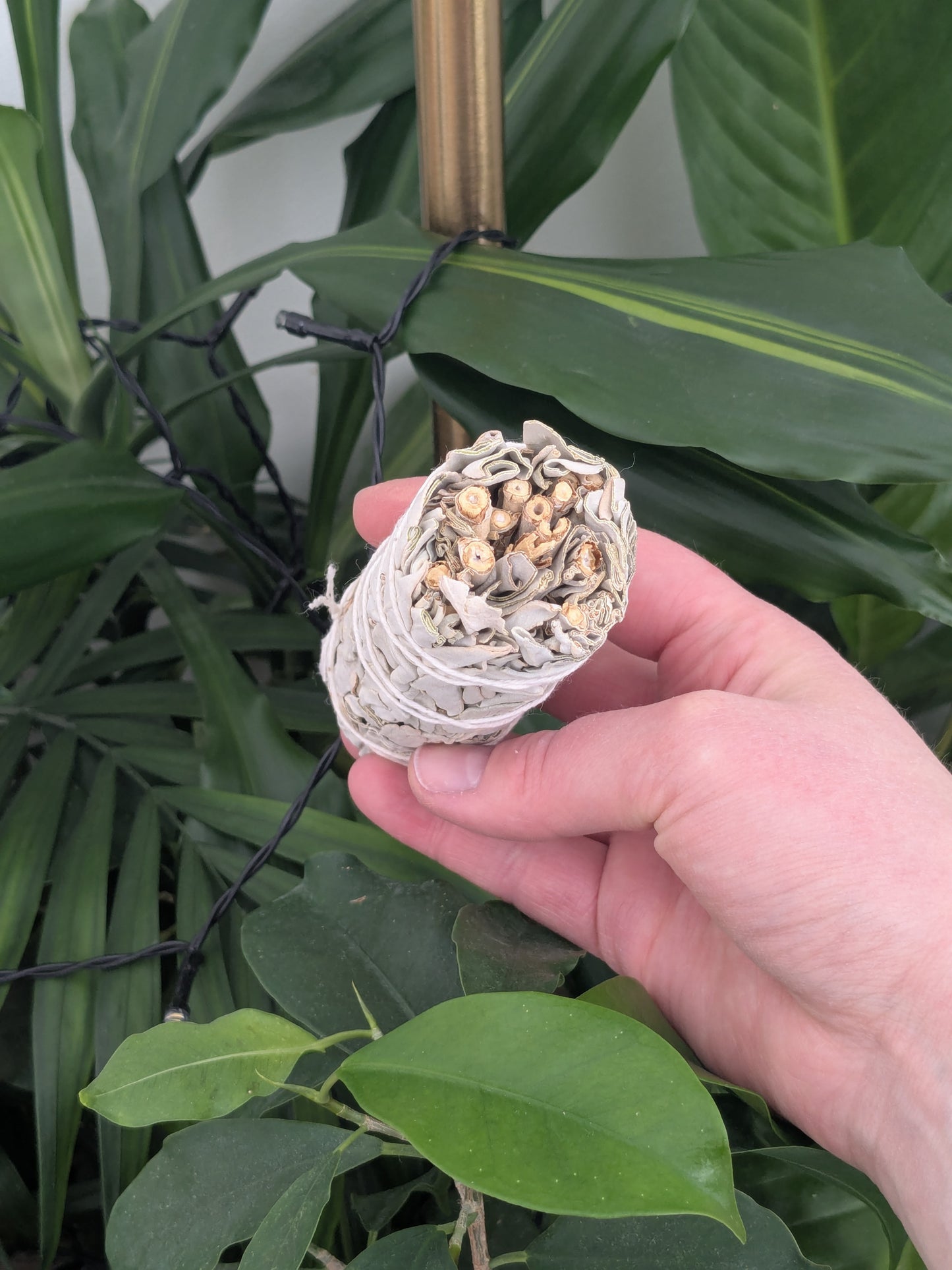 Bâton de sauge blanche